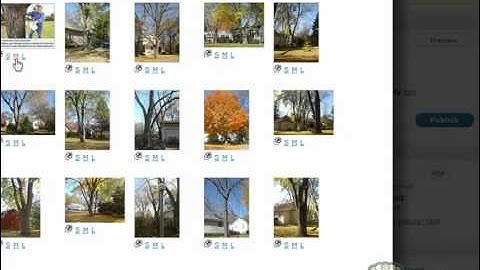 Crowd Mountain Bootcamp Module 03 Step 05: Google