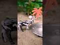 Mini hand pump project water with supply motor drinks cow sheep farm #waterpump #shorts #youtube