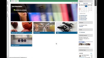How to use the e tivities