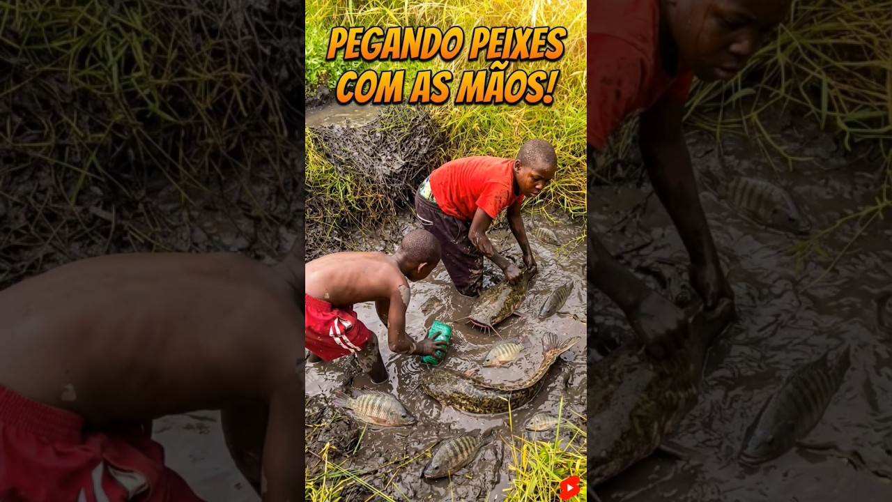 Eles pescam assim em Moçambique?! 😱🐟 Incrível! Pescaria com as mãos na lama em Moçambique 🐟#Shorts