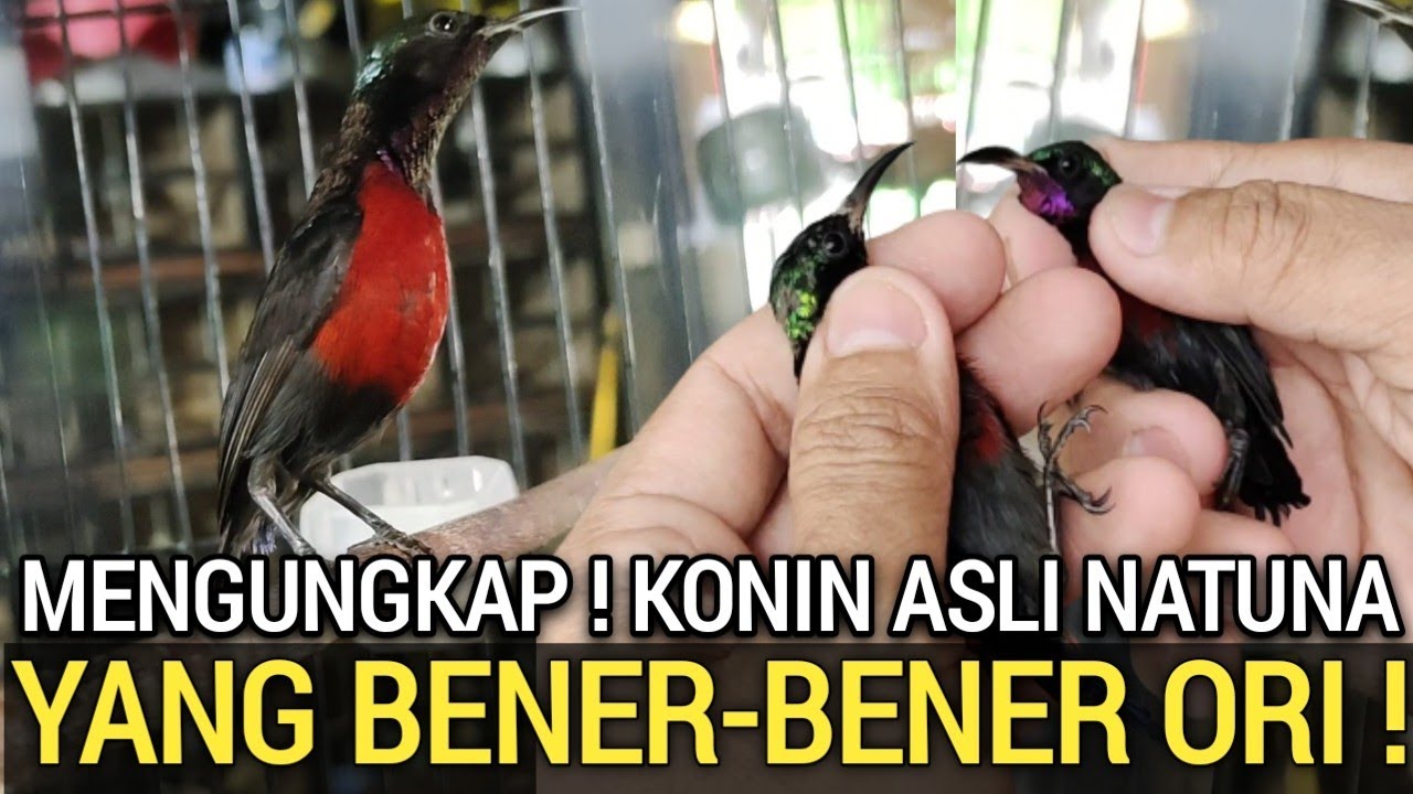 ASTAGHFIRULLAH ! TERNYATA SUDAH BANYAK YANG KETIPU SEPERTINYA 🤦MIRIS