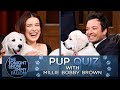 Pup Quiz With Millie Bobby Brown The Tonight Show Starring Jimmy Fallon mp3