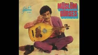 Müslüm Gürses - İçiyorsam Sebebi Var - 1976 (Hülya Plak)