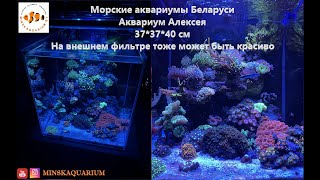 Морской аквариум на внешнем фильтре. Светильник Maxspect MJ-L165.