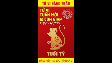 Tử vi Tuần mới (3/7 - 9/7/2023) của tuổi Tý