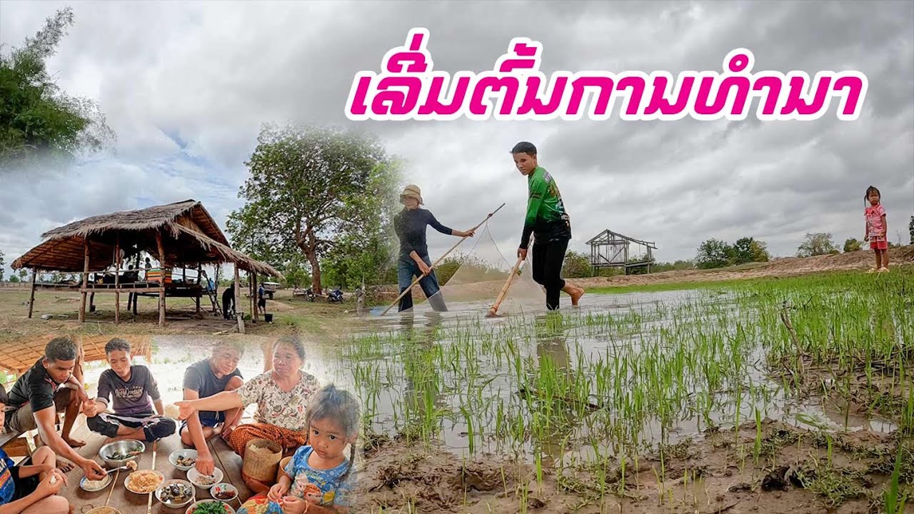 ອອກນາໄຖນາກິນຕົ້ມອື່ງຢູ່ຖຽງນາ | ออกไถนา ต้มอื่งอยู่เถียงนา