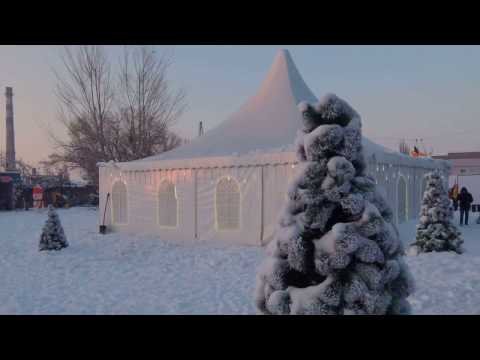Video: Bloաղկող բույսեր ձմեռային այգում