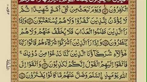 أعذب الأصوات وأجود التلاوات (5)