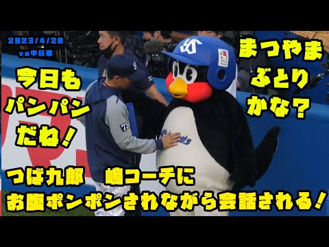 つば九郎 嶋コーチにお腹をポンポンされながら会話する！ 2023/4