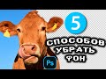 Как УБРАТЬ ФОН в Фотошопе | Как вырезать объект в ФОТОШОПЕ