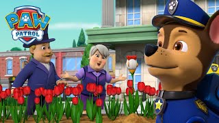 寻找小鸡郁金香还有更多精彩故事 PAW Patrol 汪汪隊立大功  兒童卡通