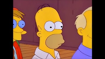 The Simpsons Best of Homer and His Brain