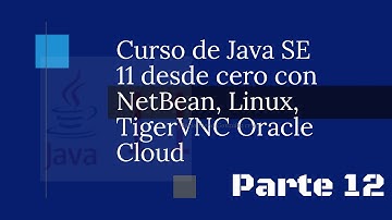 Curso de Java desde cero con NetBeans. Oracle Cloud y más allá