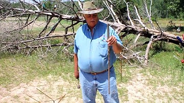Bottle Tree Installation
