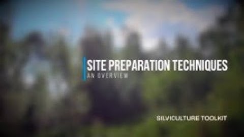 Silviculture Toolkit - SITE PREPARATION
