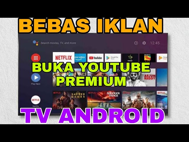 Cara Memasukkan Akun Youtube Premium Ke TV ANDROID class=