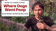 Learn Organic Gardening at GrowingYourGreens - YouTube