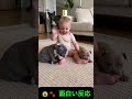 😱🐾 面白い反応 | funny reaction #funny #youtubeshorts #cute #baby