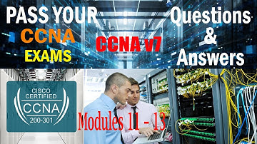CCNA 1 v7 Modules 11 – 13 IP Addressing Exam Answers