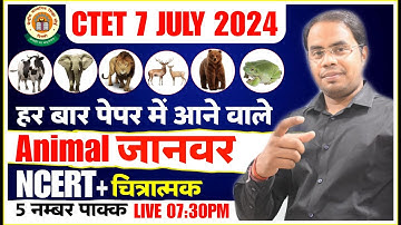 CTET NCERT 2024 |😳NCERT जानवर | Ctet Evs Animal Ncert 🔴5 नंबर पक्के | हर बार CTET में आने वाले