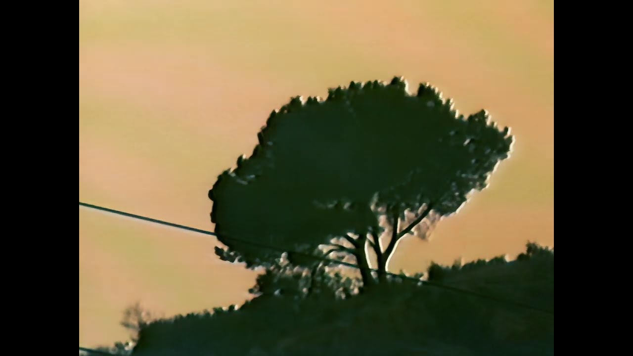 LIFE'S COMPASS (Shot on 4k VHS!)