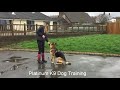 Beginning of companion dog training Beginning of companion dog training