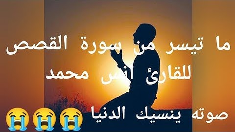 ما تيسر من سورة القصص للقارئ انس محمد ( صوته ينسيك الدنيا)