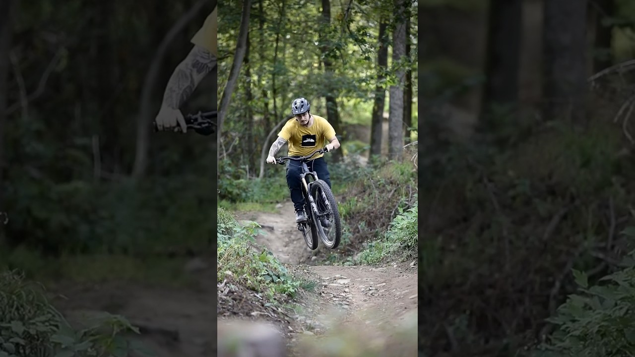 Singletrail MTB Ride in Kassel / Specialized Stumpjumper EVO 