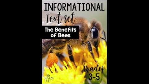 Bees Text Set