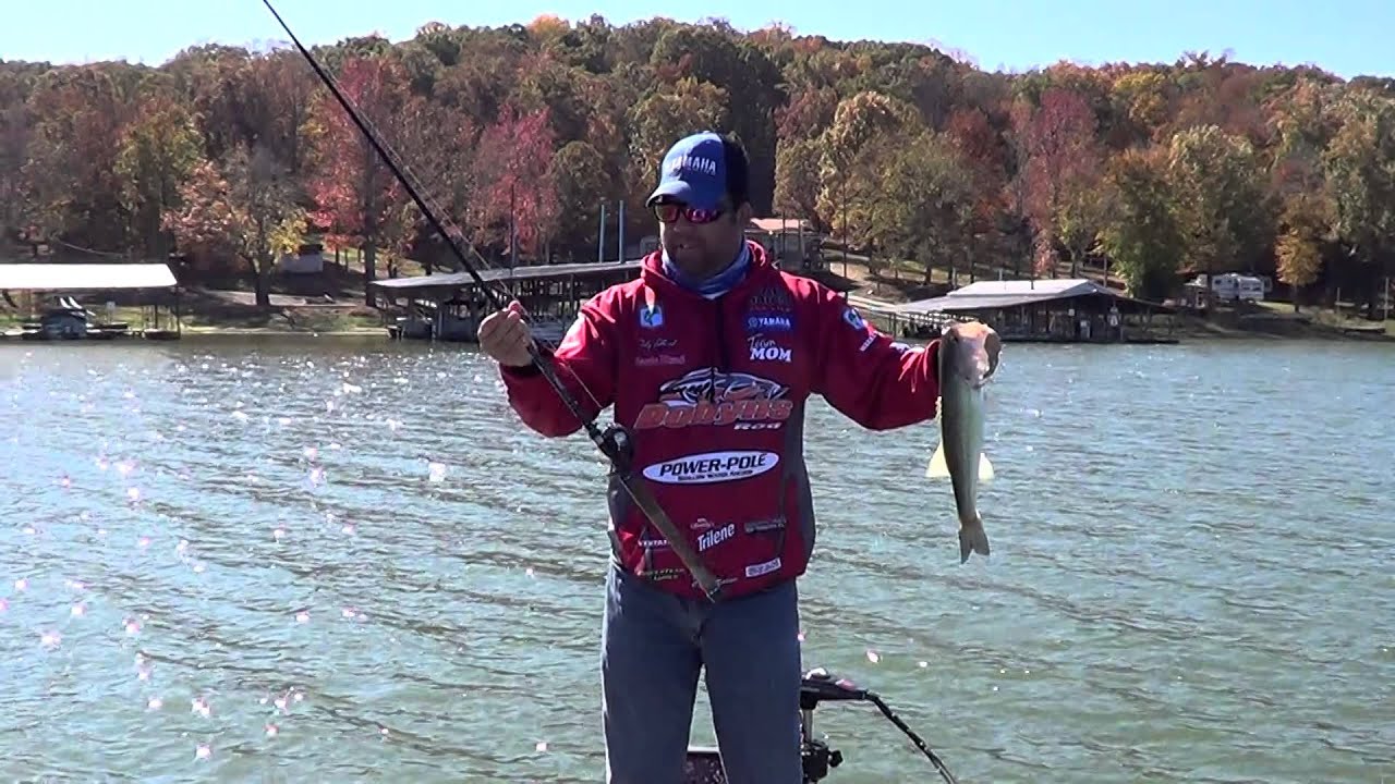 Bass fishing Kentucky Lake - YouTube
