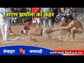 Sekhpura vs jamawadi       gujrani kabaddi highvolatage match