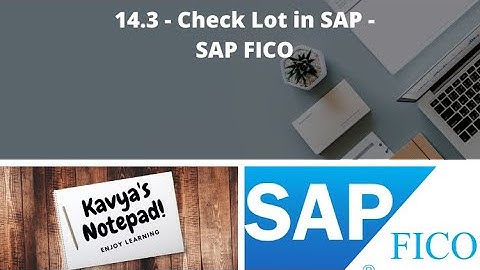 14.3 - Check Lot in SAP - SAP FICO