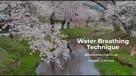 Homeostasy breathing Technique - Water Breathing 💧 (4:4, balancing)