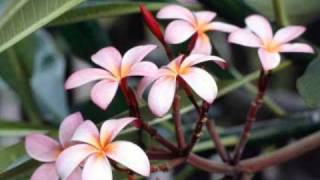 Video-Miniaturansicht von „TAHITI...TRIO- KIKIRIRI.  "  Valse..."“