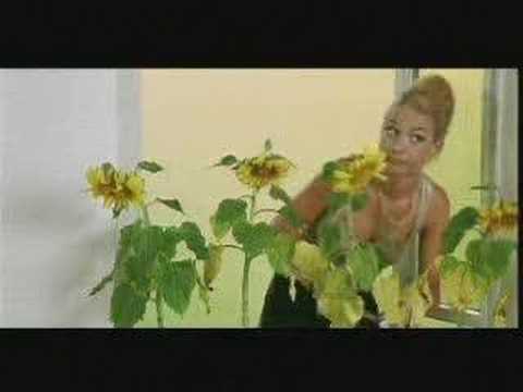 Liquido- Narcotic