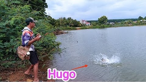 Câu cá lóc_Hành trình săn hàng Hugo (p8) @Hữunghị tv