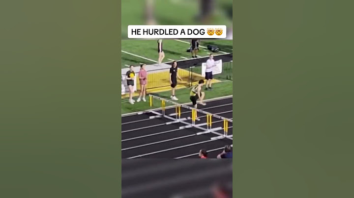 Had one surprise hurdle at the end. 😅🐶 (via elliot__hughes/IG) #shorts