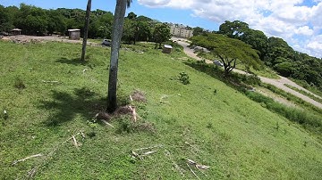 Mastering FPV 🔥 (New Location, with the Wizard X220S) 🧙