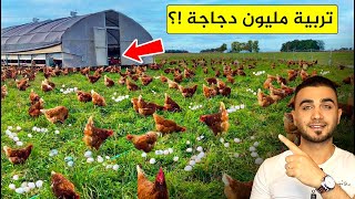 أغرب طريقة لتربية الدجاج 🐔 تربية الدجاج مثل الأغنام في مراعي حرة وواسعة 🤔لحم وبيض صحي!؟