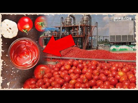 Vídeo: Onde é feito o ketchup?