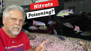 HIGH NITRATES ***Real or a 'Follow the Money' SCAM?***