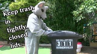 Rodent Prevention in Somerville PSA