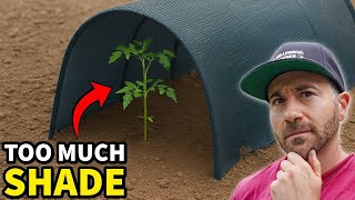 4 Warning Signs Your Plants Are Getting TOO MUCH Shade