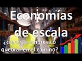 Economías de Escala, significado y ejemplo