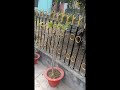 Subhas park # bihar sharif #nature #viralvideo #vlog #bihar #whatsappstatus #beautiful