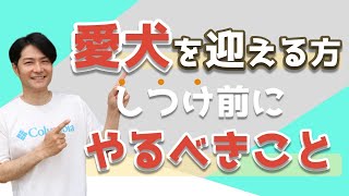 【子犬しつけ】愛犬がドンドン賢くなる！しつけより大切な事は？あなたを〇〇になってもらう事　～ラブラドルレトリバー～