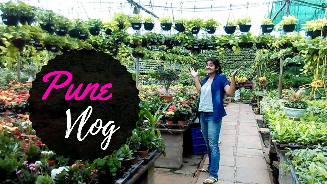 Vlog Pune Nursery Visit Succulent Plant Arrangement Garden