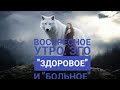 Воскресное утро. Эго "здоровое" и "больное".