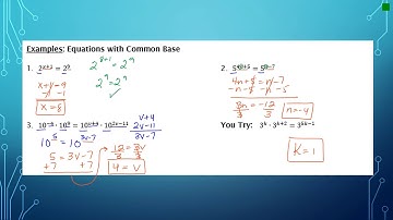 Unit 4 Lesson 1 Video