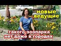 Альпаки  Парад тюльпанов  Шашлык  Жизнь станичная